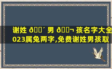 谢姓 🐴 男 🐬 孩名字大全2023属兔两字,免费谢姓男孩取名100分